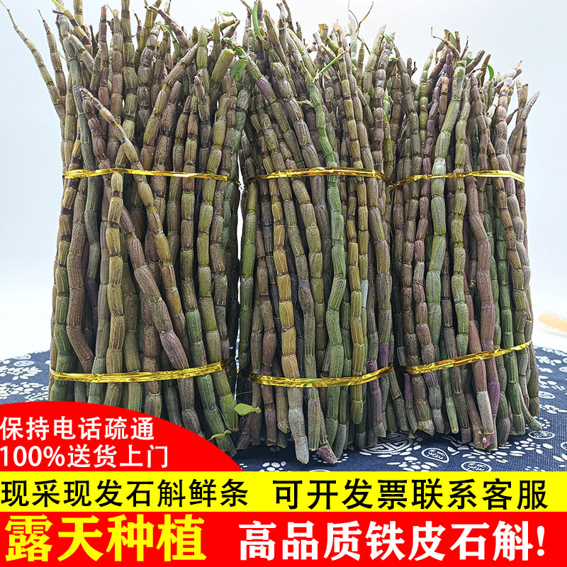 正品铁皮石斛鲜条1000g中药材枫斗六年生基地批发霍山新干花宗粉