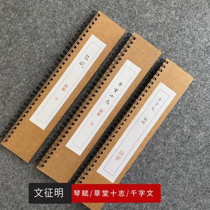 文征明小楷字帖千字文琴赋草堂十志毛笔临摹卡入门套装米格练字
