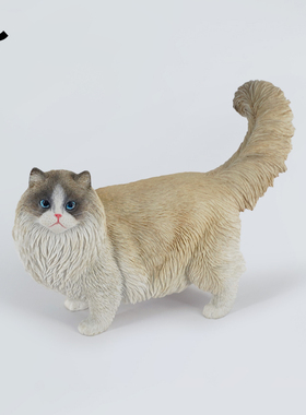 JXK布偶猫2.0模型真宠物小猫咪周边摆件手办玩偶桌面饰品道具