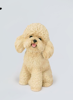 JXK仿真泰迪小狗狗模型 贵宾犬周边仿真宠物手办车载摆件树脂礼物