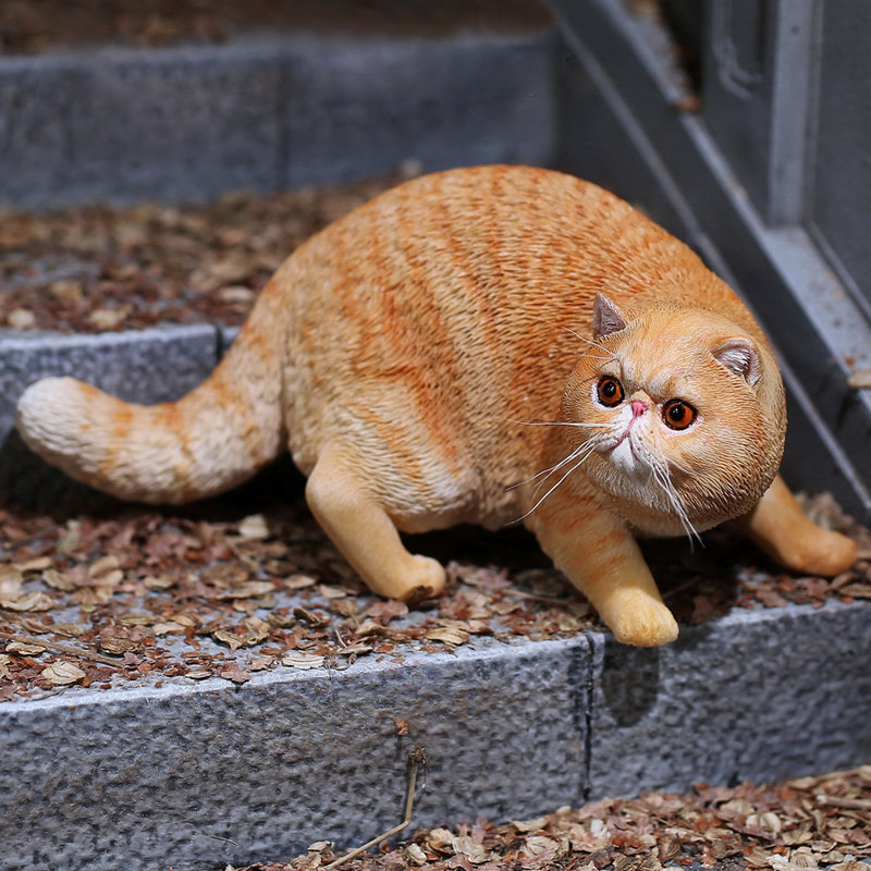 毛猫高端摆件仿真模型树脂