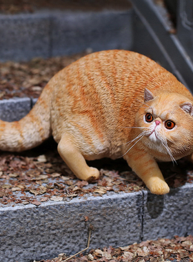 毛猫高端摆件仿真模型树脂