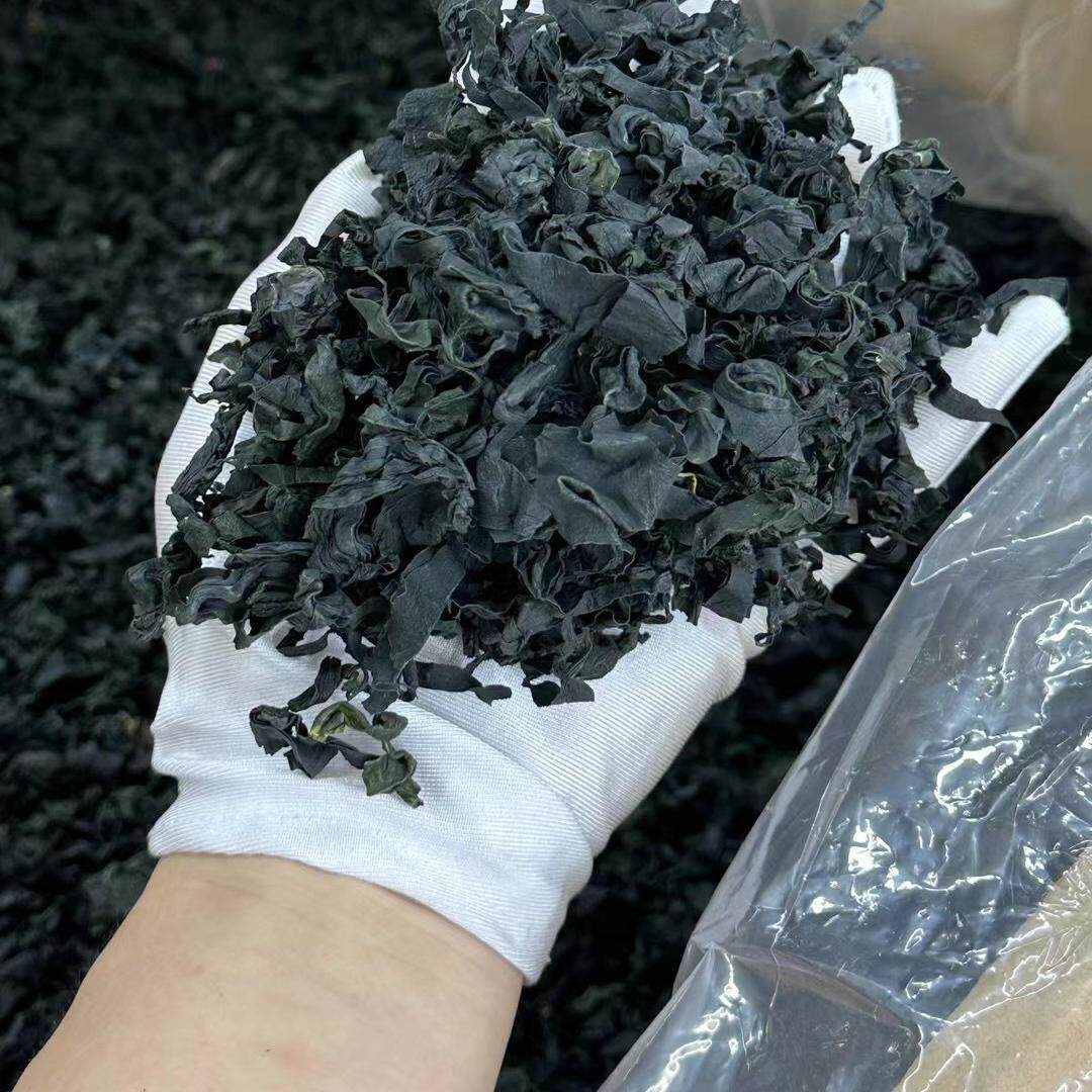 裙带菜干货特级海菜儿童0脂肪无盐免洗螺旋藻韩式海带芽嫩海带苗