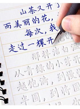 凹槽女生字体漂亮清秀簪花小楷