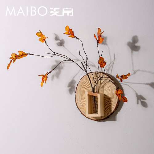 墙面绿植装饰玻璃水培挂件田园风