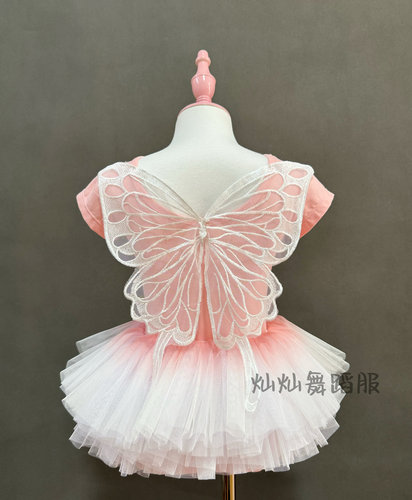 蝴蝶练功演出儿童舞蹈服演出服