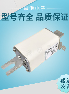 伊顿巴斯曼170M3188,170M3189，170M3190，170M3191 熔断器，现货
