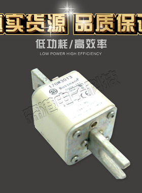 全新销售BUSSMANN熔断器170M3013 170M3014 特价供应 欢迎订购