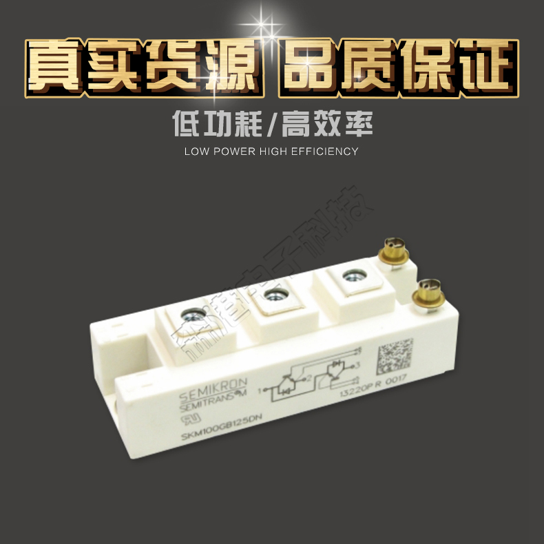 全新销售模块SKM100GB125DN特价直销 现货热卖 欢迎订购