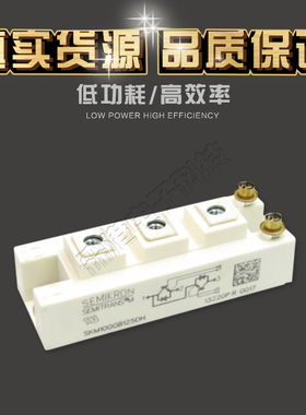 全新销售模块SKM100GB125DN特价直销 现货热卖 欢迎订购