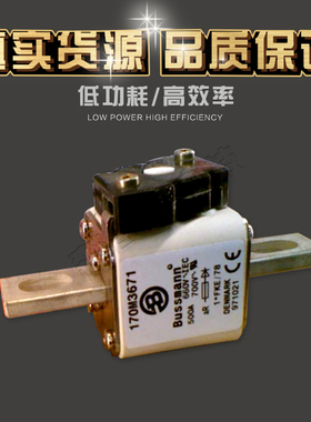 全新销售熔断器170M3671 170M3690  特价供应 欢迎订购