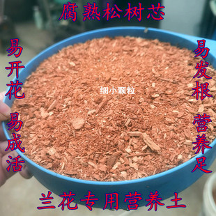 兰科专用松树芯朽木松树皮腐殖土风化石自然腐熟发酵养根易发苗