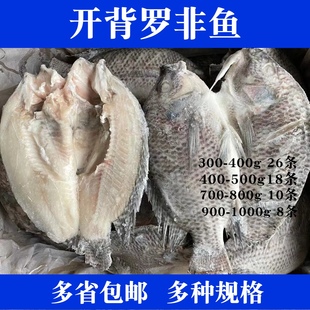 开背罗非鱼鲷鱼片 新鲜开背净膛烧烤烤鱼冷冻生鱼片酒店食堂食材