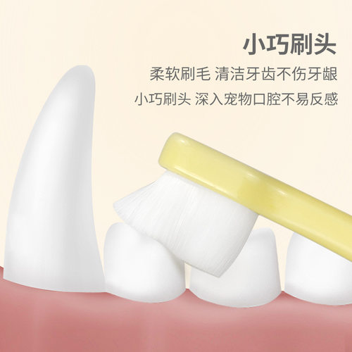 魔力崽软毛万毛宠物牙刷洁齿