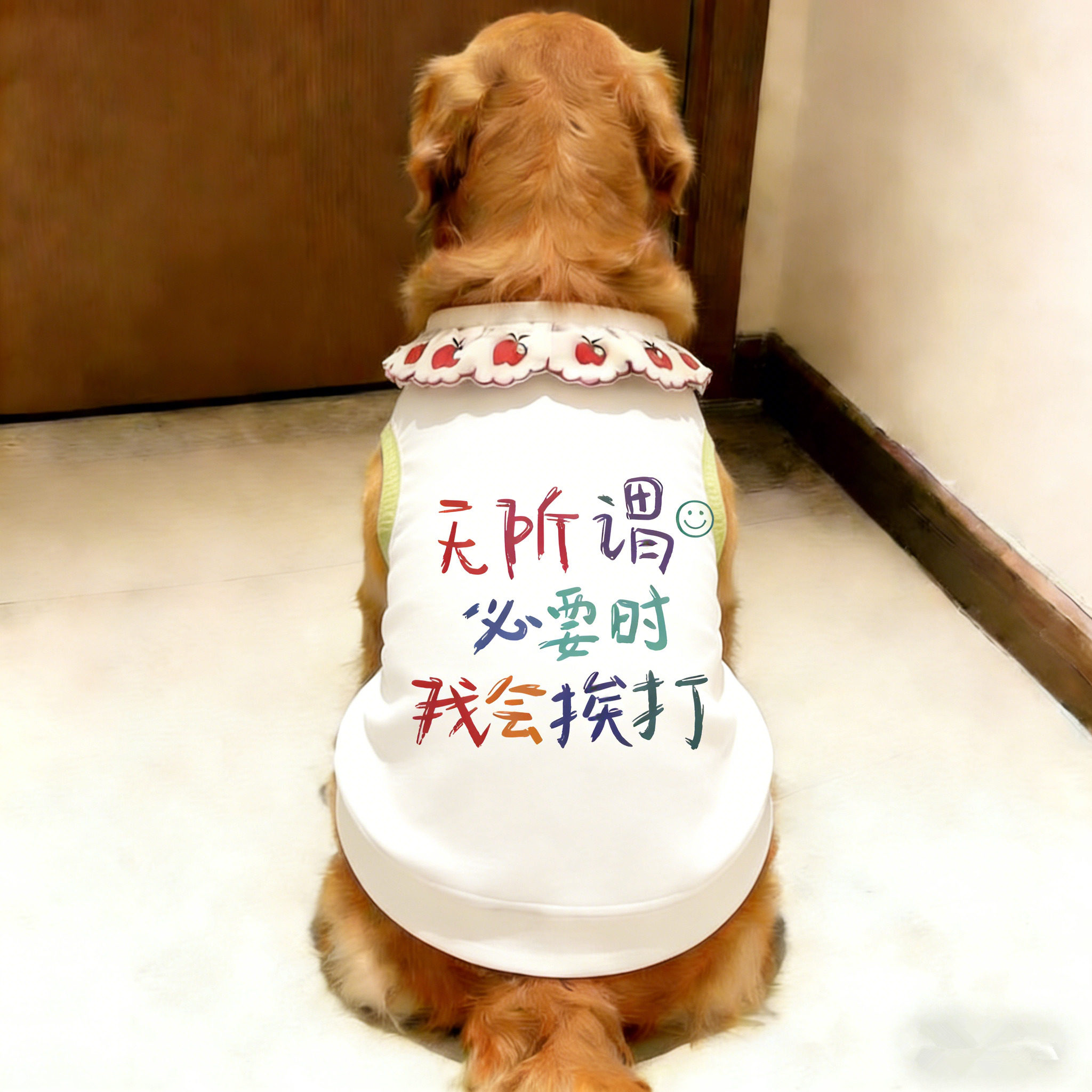中大型犬金毛春夏季防掉毛薄款背心狗狗衣服宠物服饰凉感超萌萨摩
