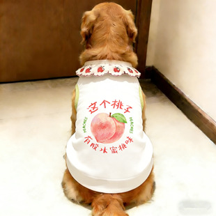 薄款背心狗狗衣服中大型犬金毛春夏季防掉毛宠物服饰凉感超萌萨摩