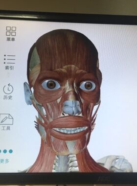 Human Anatomy Atlas 2020人体解剖软件（电脑中文版-安卓模拟）