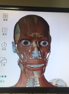 Human Anatomy Atlas 2020人体解剖软件（电脑中文版-安卓模拟）