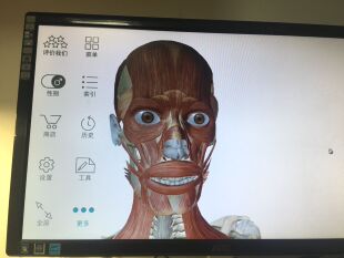 Human Anatomy Atlas 2020人体解剖软件（电脑中文版-安卓模拟）