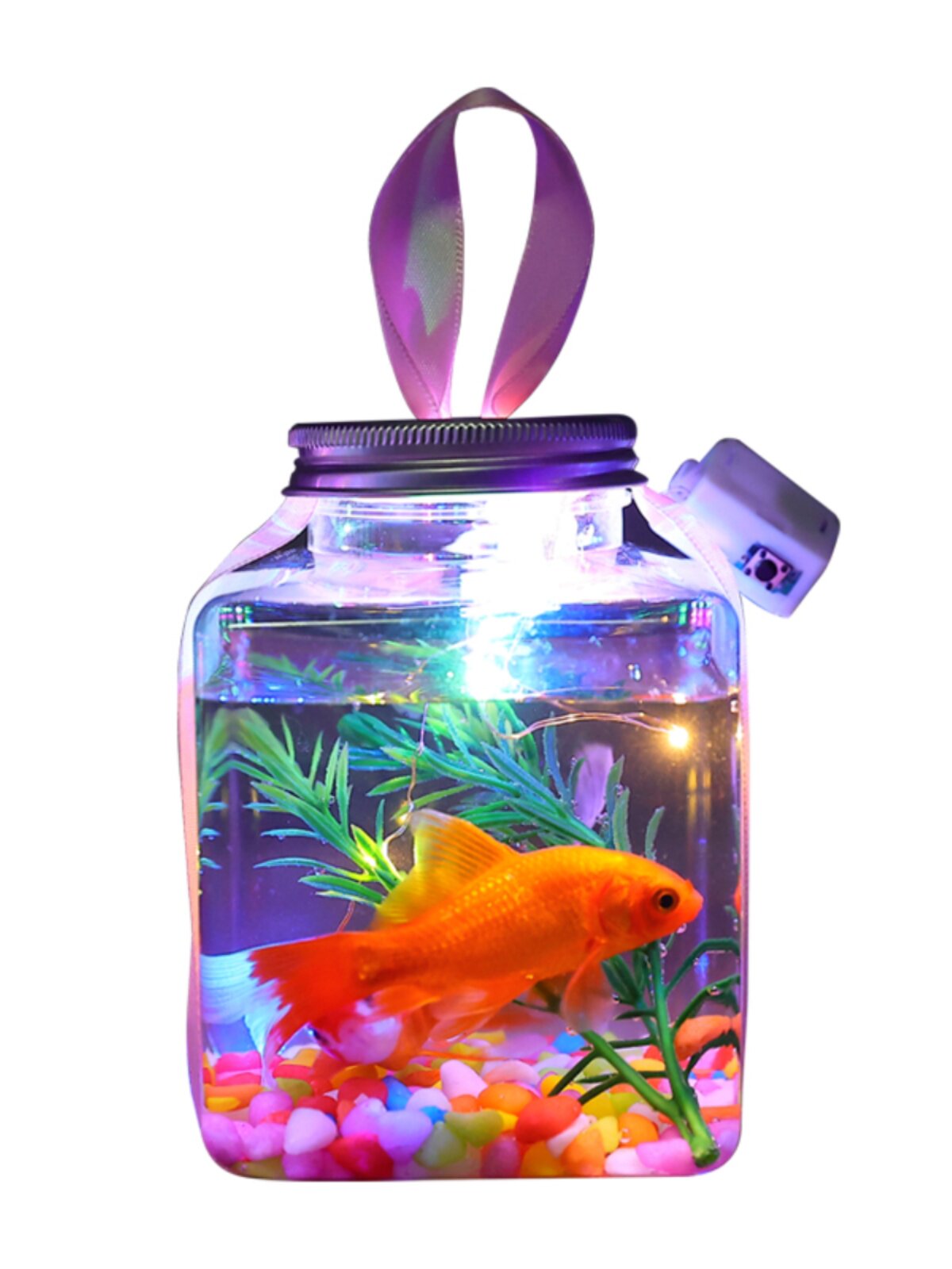 CAN CAN FISH 인터넷 연예인 빛나는 야시장 노점 장난감 시장 밤에 빛나는 새로운 작은 선물