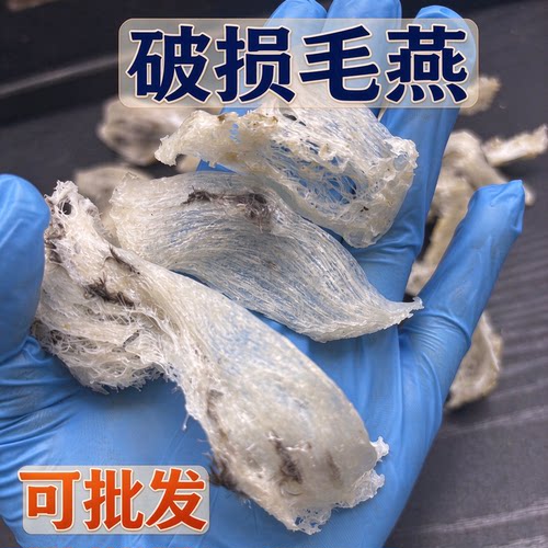 破损毛燕划算足干破盏