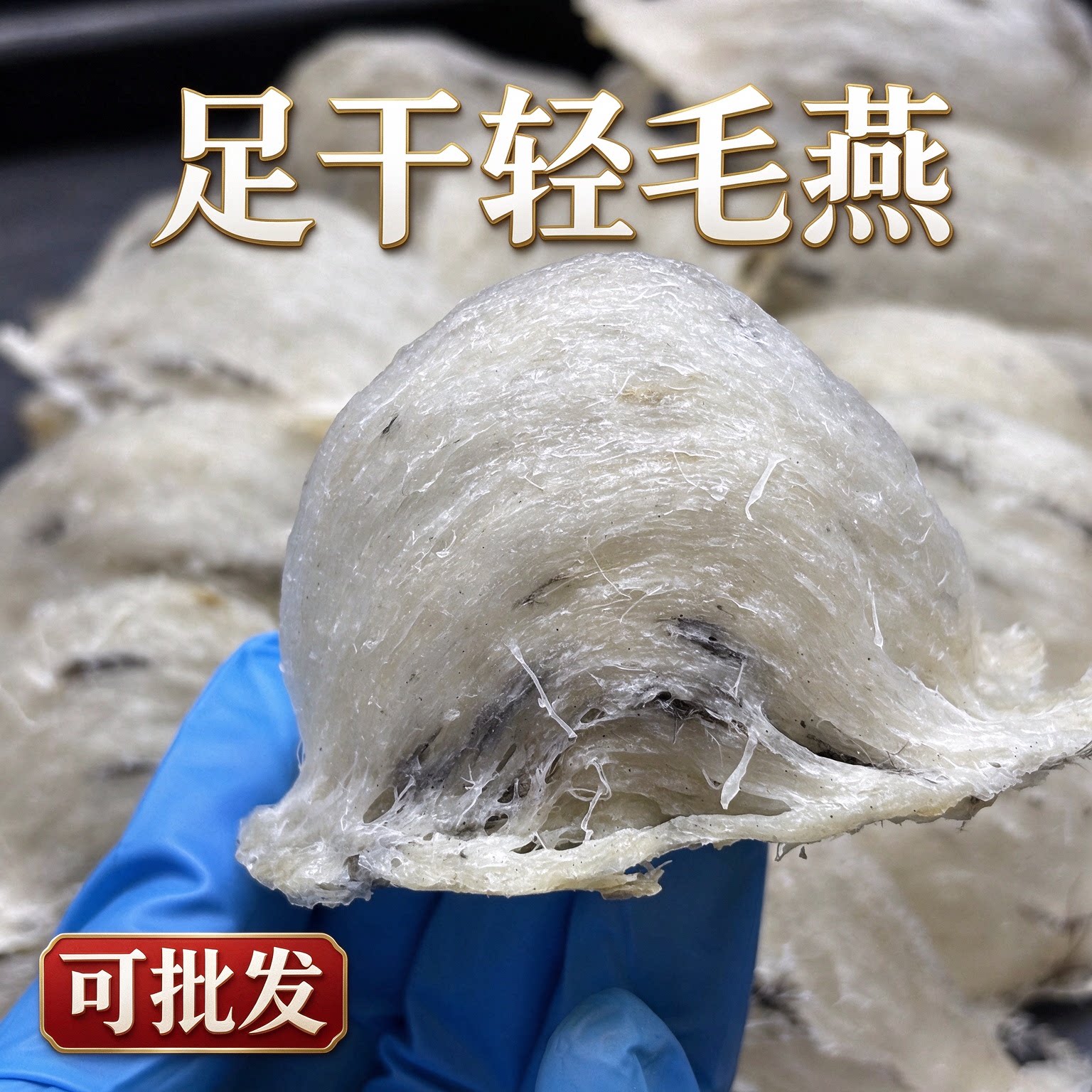 马来西亚雨季轻毛燕轻毛原盏燕窝原料燕农直收未挑毛干毛料自挑