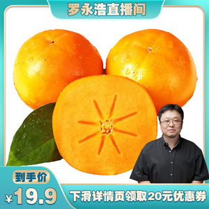 【罗永浩直播专享】正宗山西阳丰巧克力甜脆柿子大果现摘整箱包邮