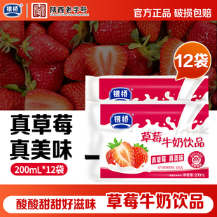 银桥酸甜草莓牛奶饮品小时候喝的含乳饮料饮品200ml*12袋装