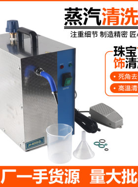 2L高温高压蒸汽清洗机首饰去污