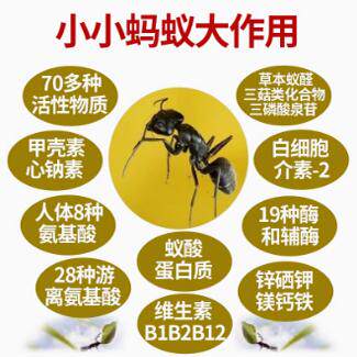 爷爷捕的深山野生黑蚂蚁中药材捕的深山野生黑蚂蚁中药材