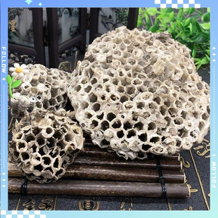 野生马蜂窝粉野蜂窝大黄蜂窝胡蜂蜂巢野蚂蜂窝新货这是软蜂房粉