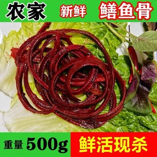 野黄鳝新鲜黄鳝血骨头土黄鳝长鳝鱼骨头放化疗提升白细胞干食材