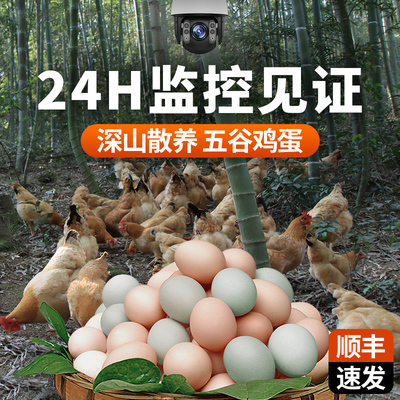 正宗土鸡蛋深山五谷散养小孩高蛋白营养孕妇月子鸡蛋苏仙岭