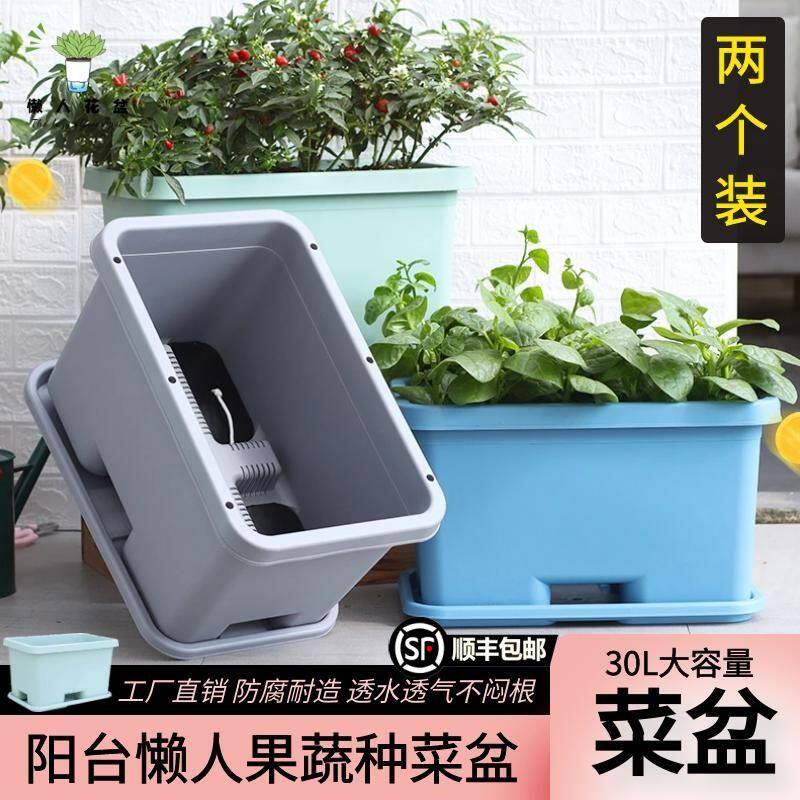 懒人果蔬阳台种菜盆高颜值新款网红自动吸水种植箱四方长方形花盆