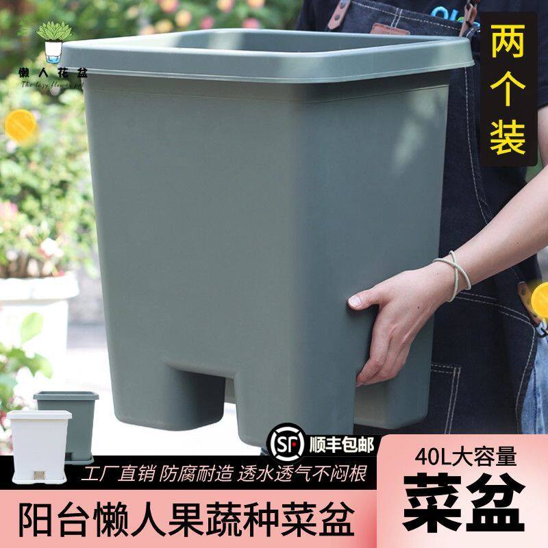 自吸水家庭种植箱懒人盆