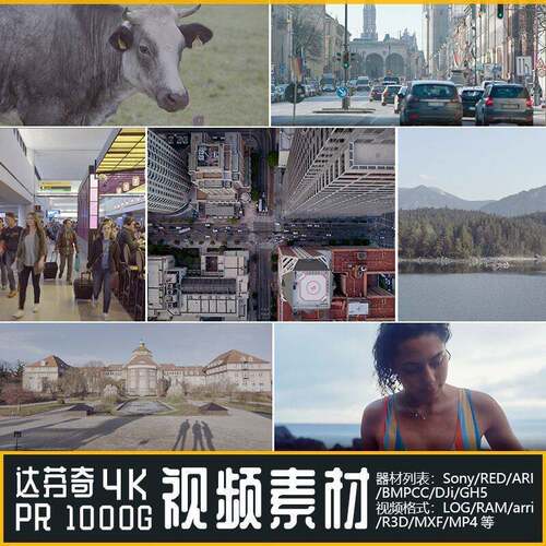 达芬奇调色素材练习视频 pr源文件1000G Arri摄影机源文件 4K超清