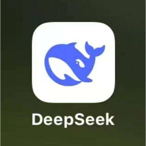 deepseek手机版安卓苹果ai大型模型深度思考本地部署