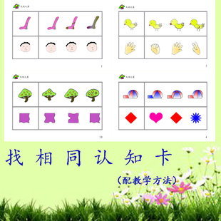 找相同相同点发育迟缓语言认知学习卡 训练卡片 教学卡片教具教材