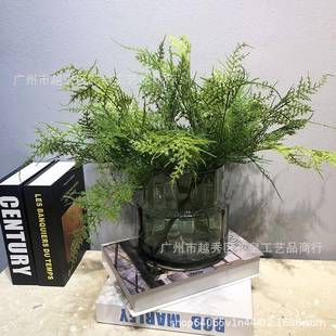 仿真叶材插花配材蕨叶类家居室内软装设计文竹散尾葵单支装饰造景