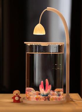 斗鱼专用缸超白小型玻璃缸创意桌面摆件高级感桌面生态缸夜灯