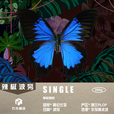 单品-哥伦比亚 辣椒波旁 浅中烘焙 水洗处理 手冲咖啡熟豆200g/袋