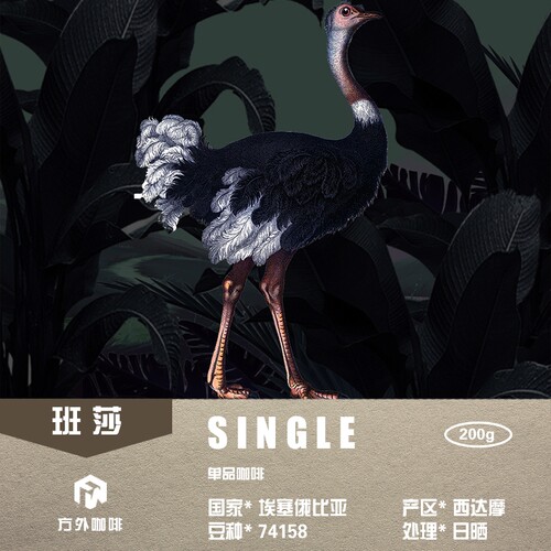 埃塞日晒浅中-单品手冲咖啡熟豆