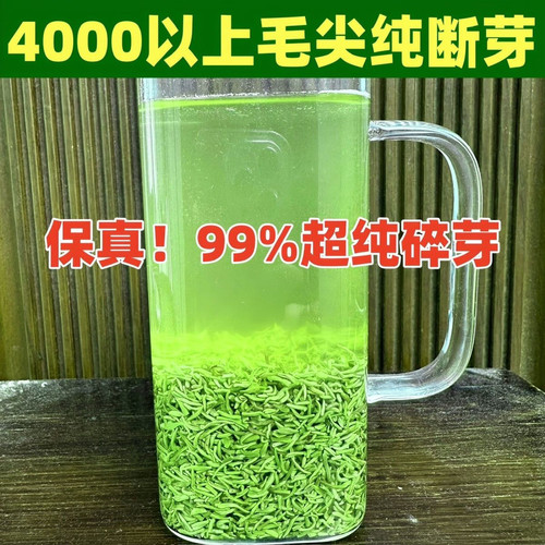 毛尖碎茶芯2026年新茶叶