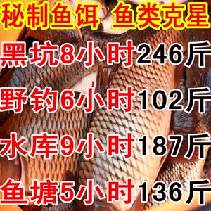 鱼饵小药野钓黑坑饵料鱼食鲫鱼鲤鱼草鱼钓饵窝料钓鱼配方渔具用品
