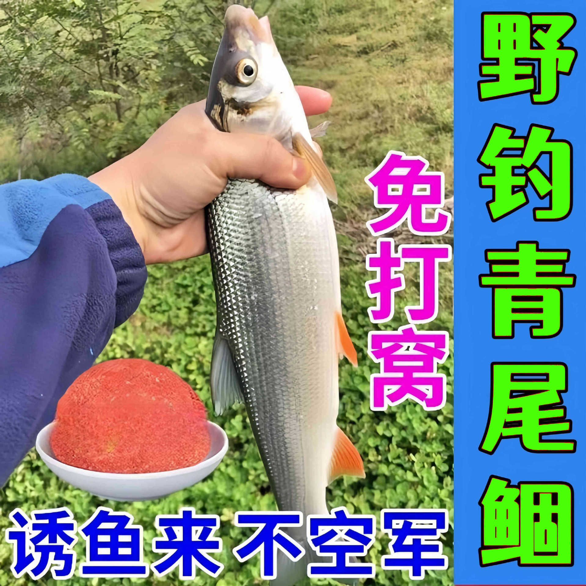 【黄尾专用饵】钓黄尾鱼饵料窝料诱鱼剂野钓翘嘴白条马口鲫鱼鲤鱼
