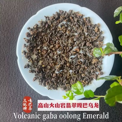 Volcanic gaba oolong Emerald高山火山岩翡翠嘎巴乌龙