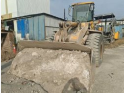 1月16日济南某公司实际所有的林牌955N轮式装载机一辆。（现无法正常使用，详情见评估报告）。网络拍卖公告