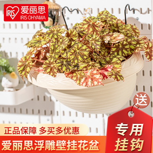 爱丽思IRIS凸纹壁挂花盆圆型园艺挂盆环保塑料花盆阳台爱丽丝花盆