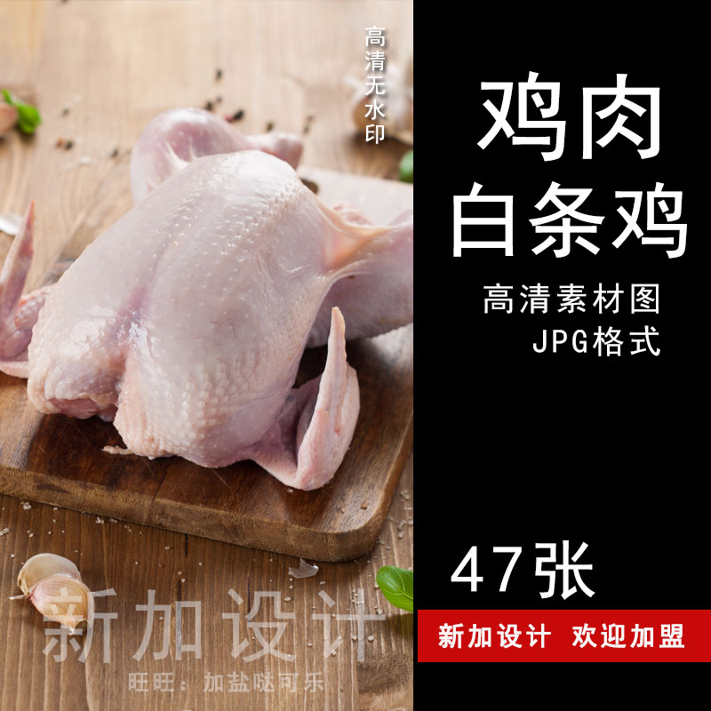 高清白条鸡整鸡罗曼鸡摄影图片设计网店拍摄静物照片打印喷绘素材