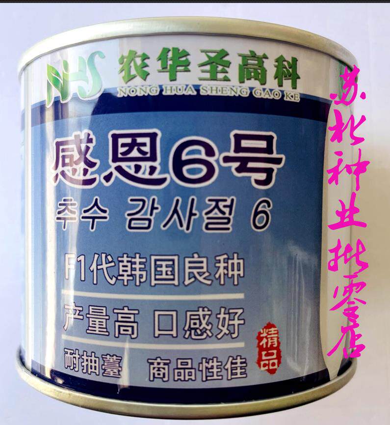 萝卜种籽大白萝卜种子感恩6号韩国品种蔬菜高产四季露天大田蔬菜